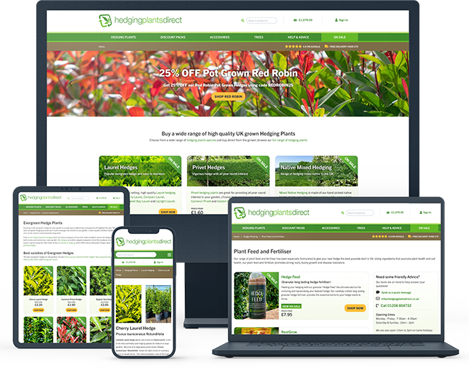 Hedging Plants Direct Website